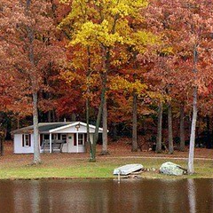 小颜大语-GH5GEEG