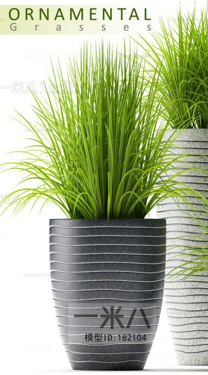 Modern Potted Green Plant