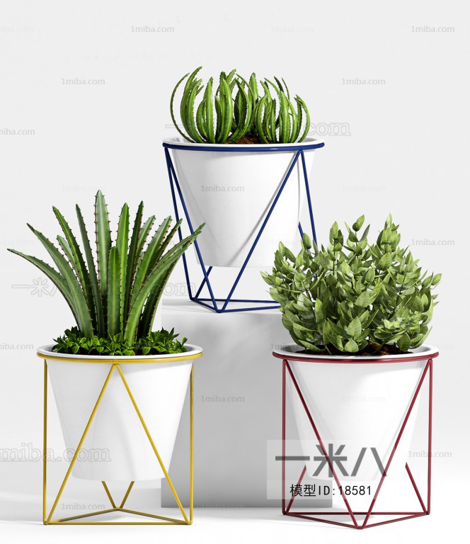 Modern Potted Green Plant