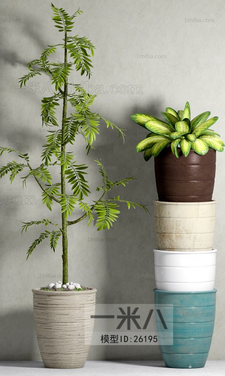 Modern Potted Green Plant