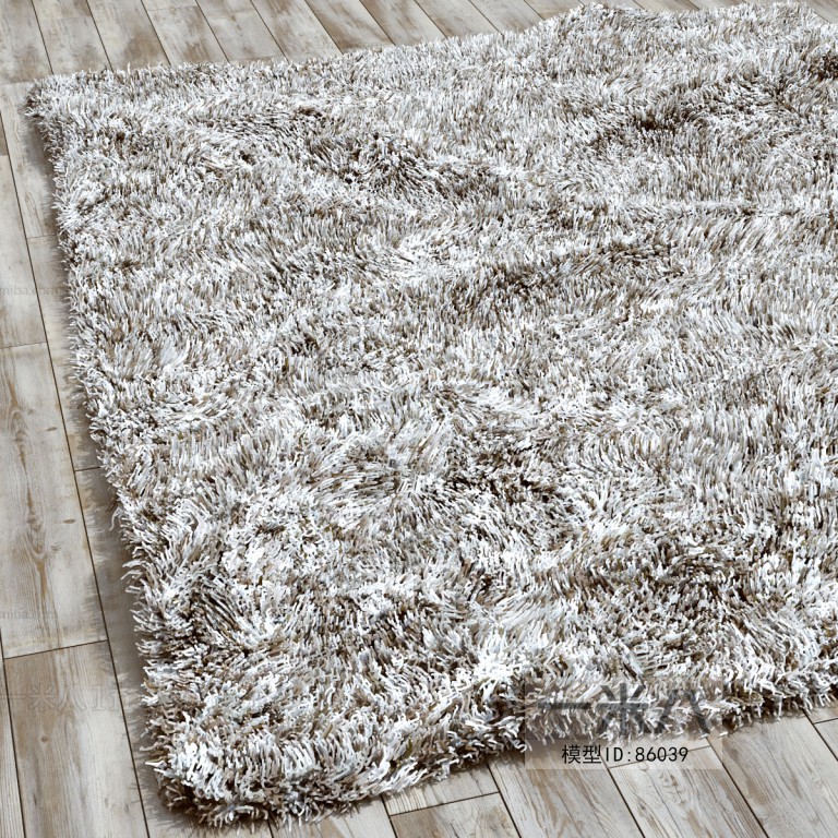 Modern The Carpet