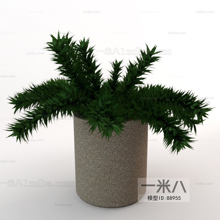 Modern Potted Green Plant