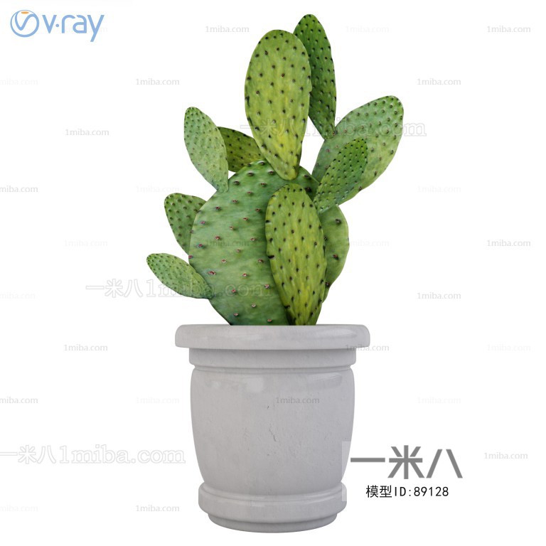 Modern Potted Green Plant