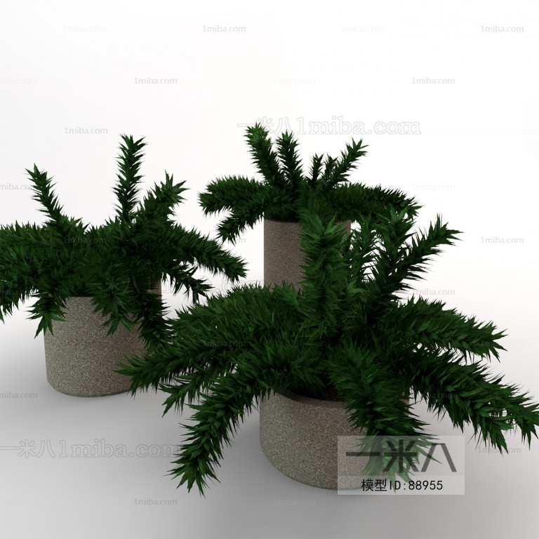 Modern Potted Green Plant