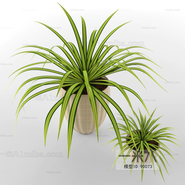 Modern Potted Green Plant