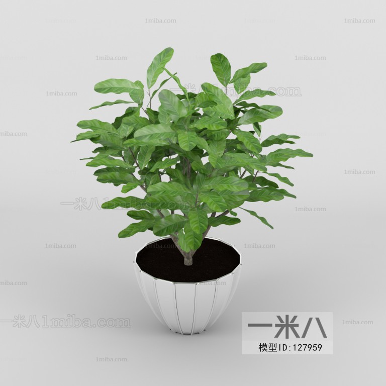 Modern Potted Green Plant