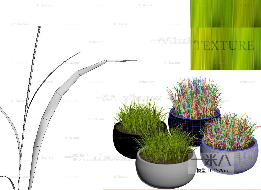 Modern Potted Green Plant