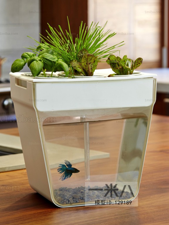 Modern Fish Tank