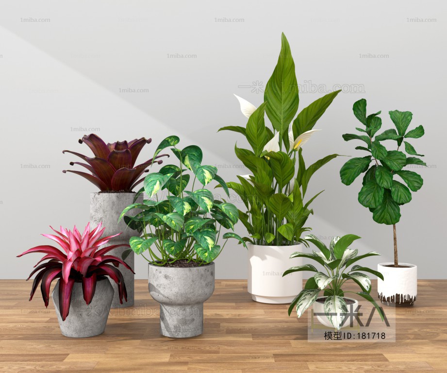 Modern Potted Green Plant