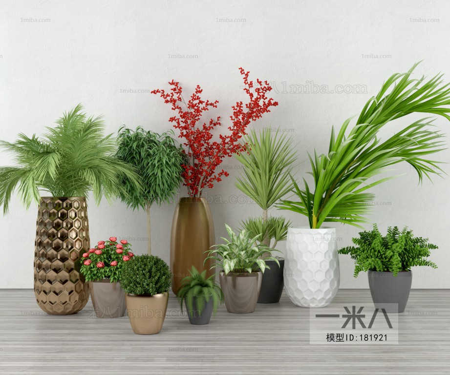 Modern Potted Green Plant