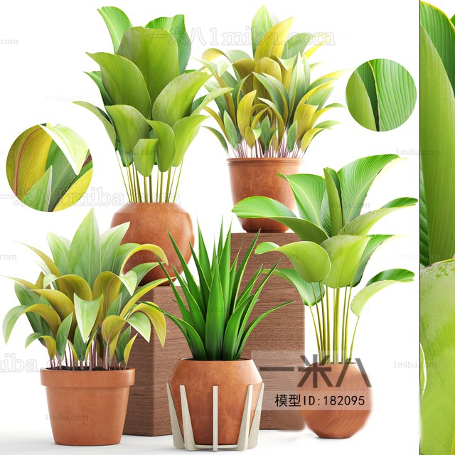 Modern Potted Green Plant