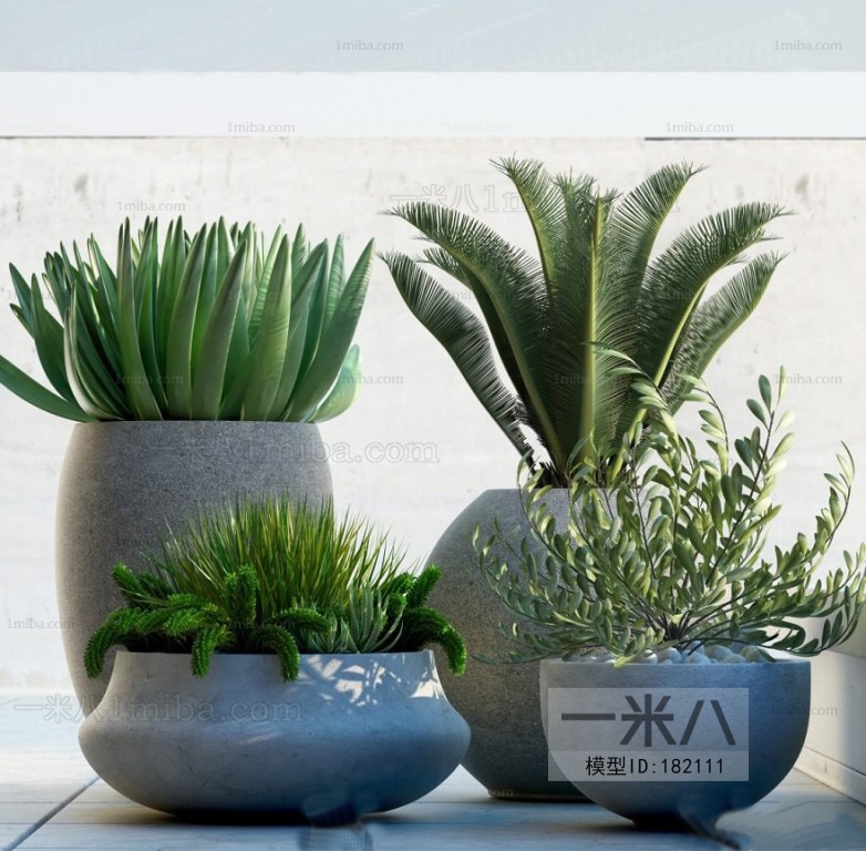 Modern Potted Green Plant