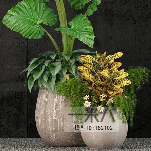 Modern Potted Green Plant