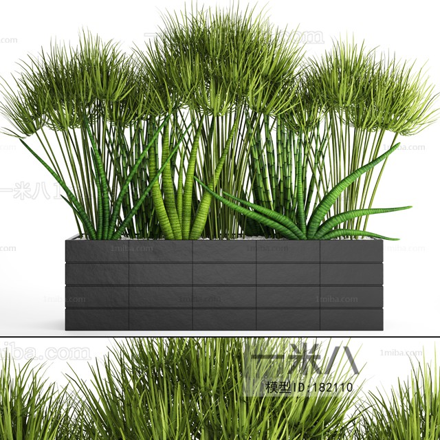 Modern Potted Green Plant