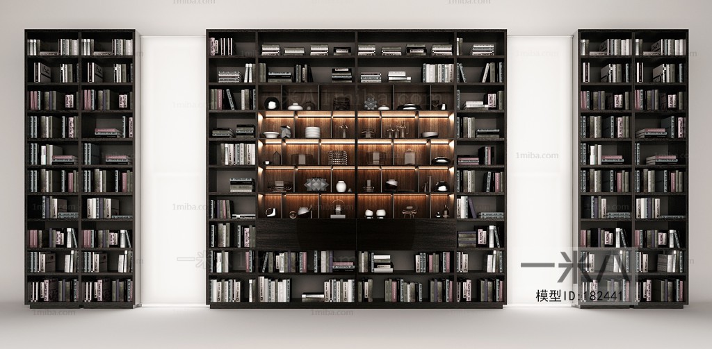 Modern Bookcase