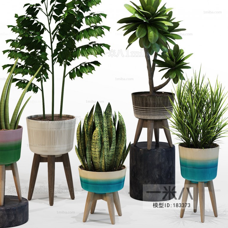 Modern Potted Green Plant