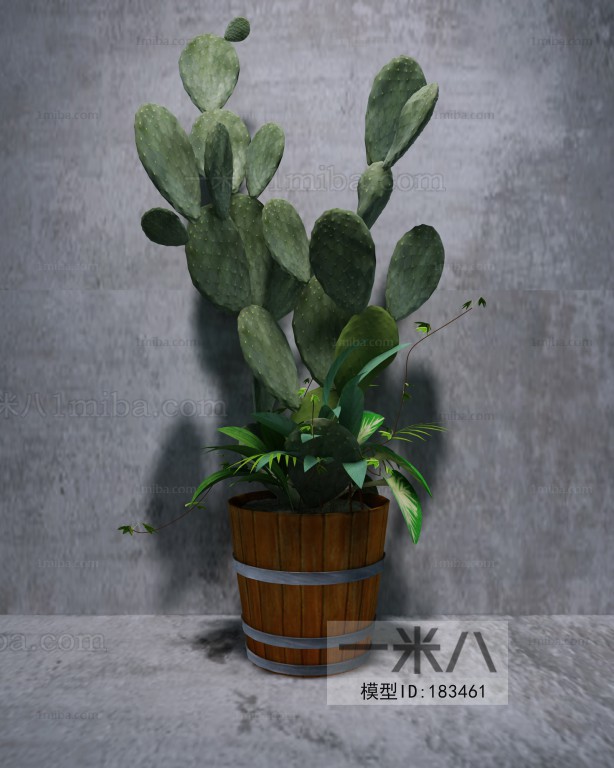 Modern Potted Green Plant