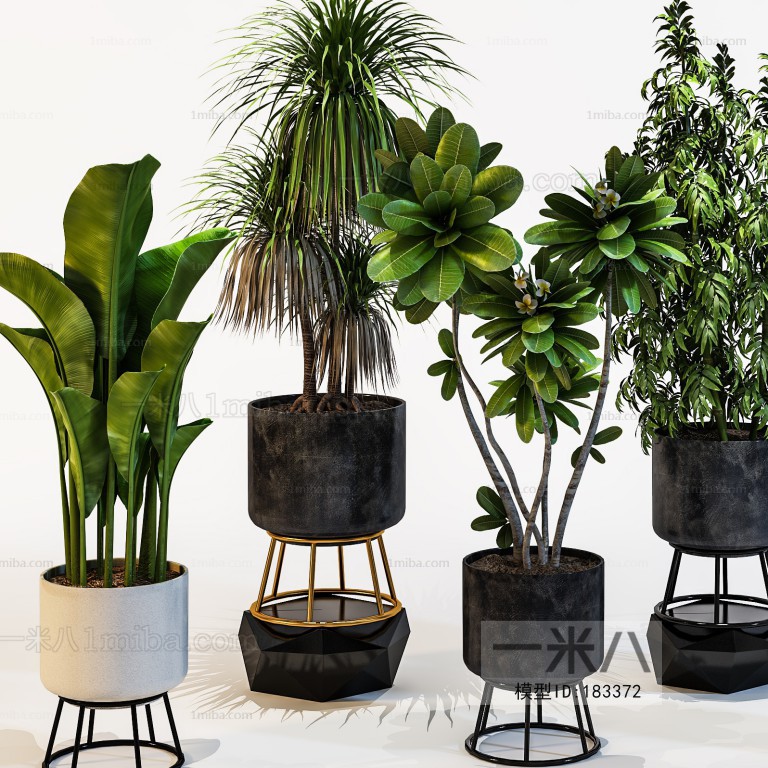 Modern Potted Green Plant