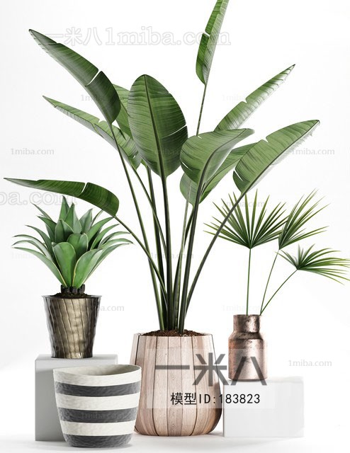 Modern Potted Green Plant