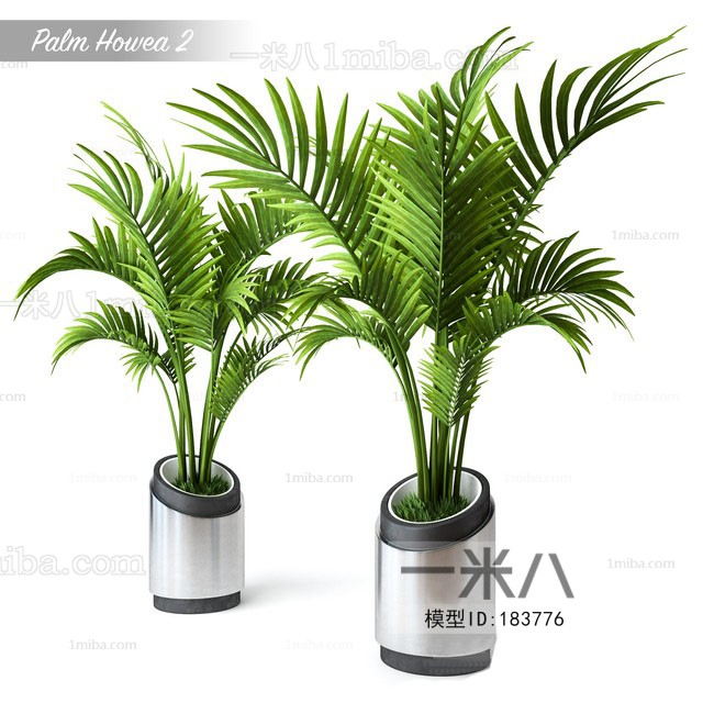 Modern Potted Green Plant