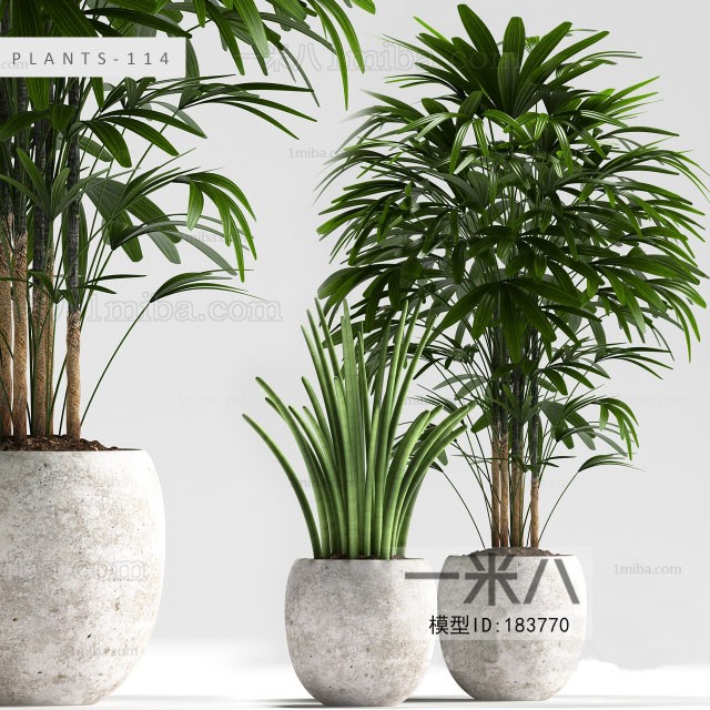 Modern Potted Green Plant