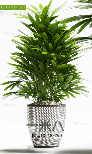 Modern Potted Green Plant