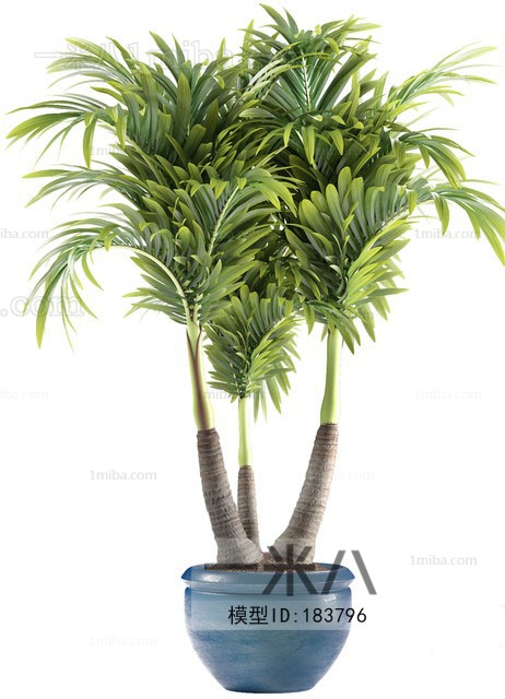 Modern Potted Green Plant