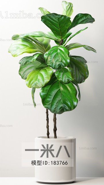 Modern Potted Green Plant