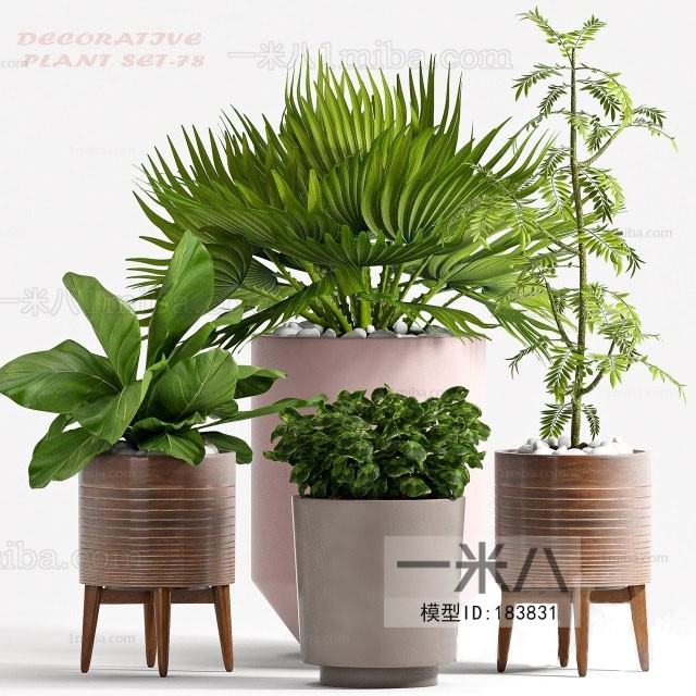 Modern Potted Green Plant