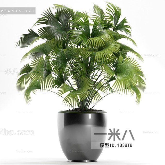 Modern Potted Green Plant