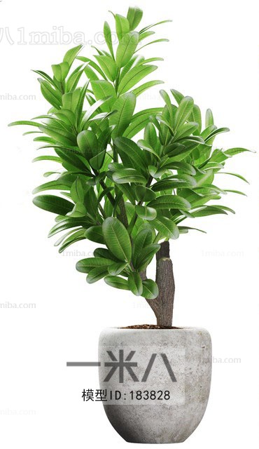 Modern Potted Green Plant