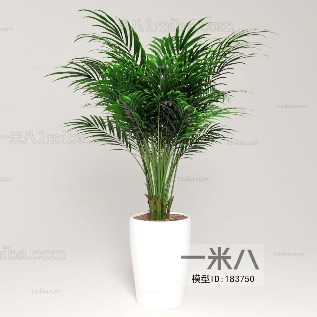 Modern Potted Green Plant