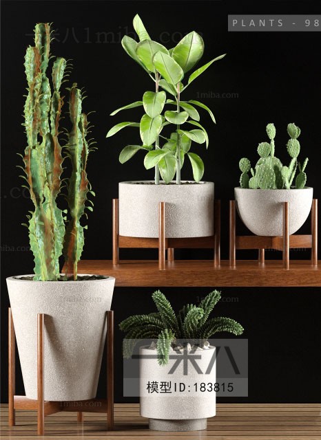 Modern Potted Green Plant