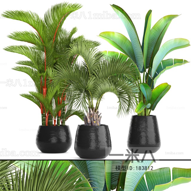 Modern Potted Green Plant