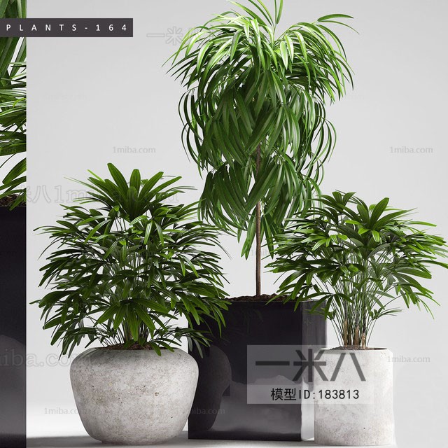 Modern Potted Green Plant