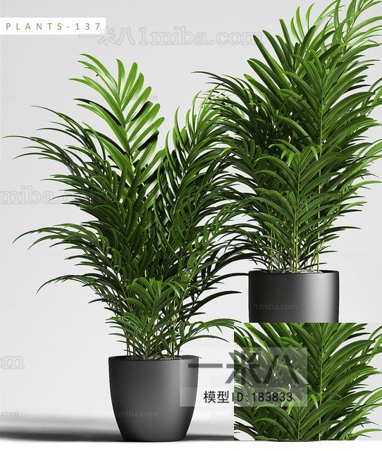 Modern Potted Green Plant