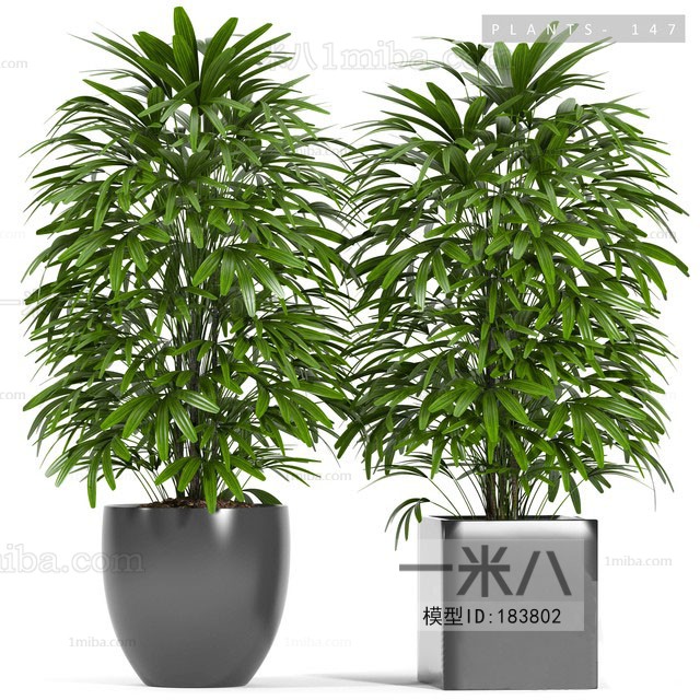 Modern Potted Green Plant