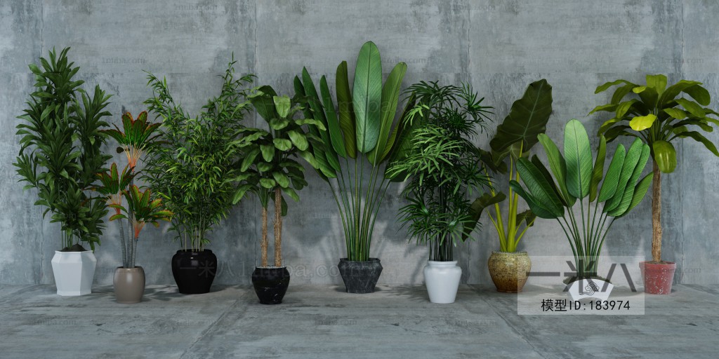 Modern Potted Green Plant