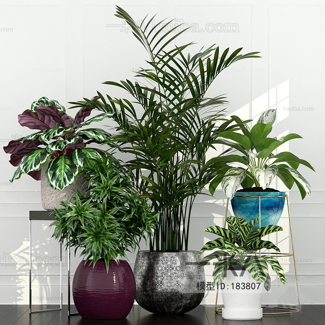 Modern Potted Green Plant