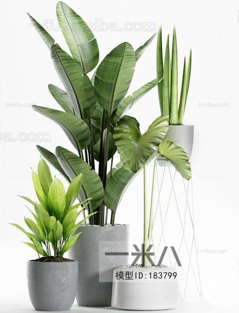 Modern Potted Green Plant