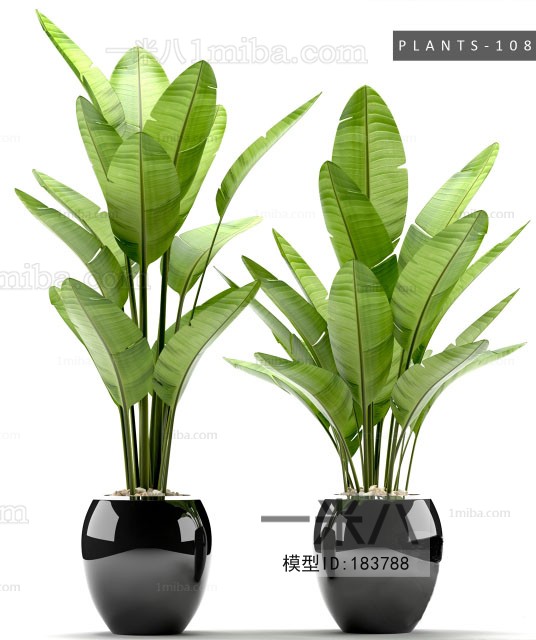 Modern Potted Green Plant