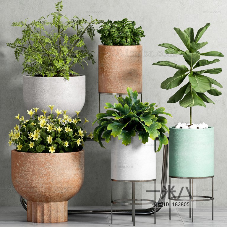 Modern Potted Green Plant