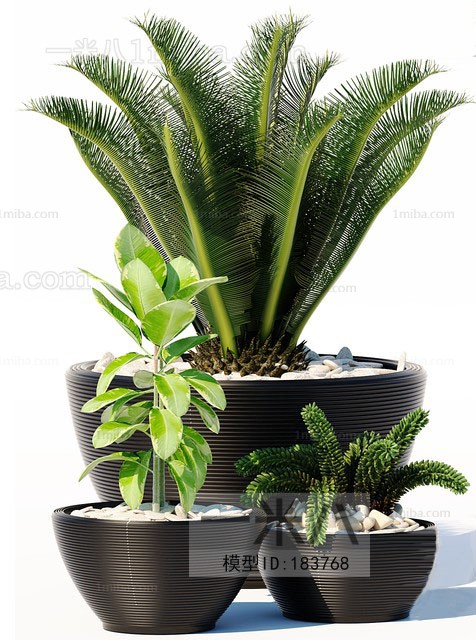 Modern Potted Green Plant