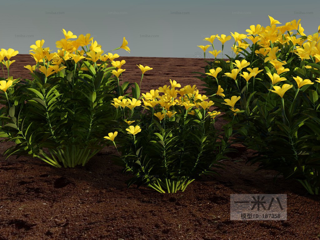 Modern Flowers And Grass