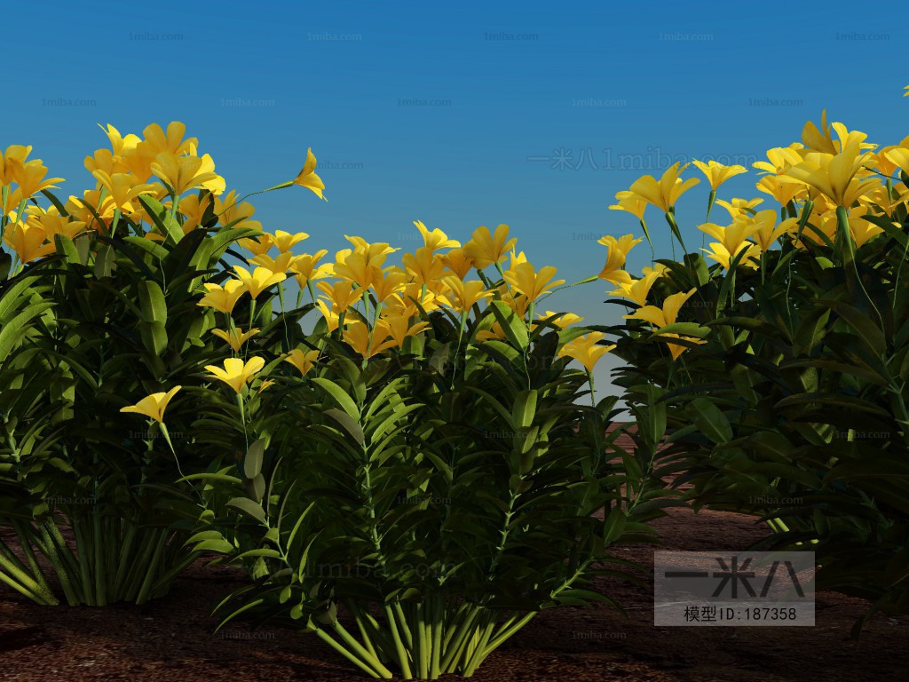 Modern Flowers And Grass