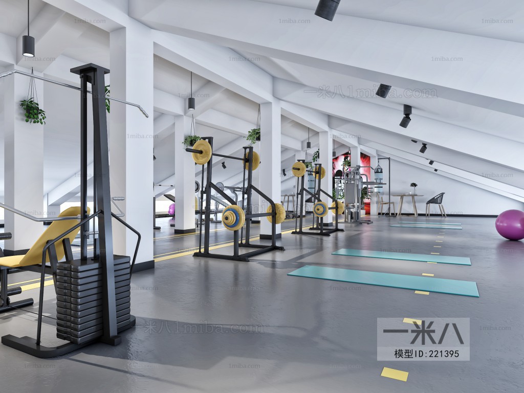 Modern LOFT Gym