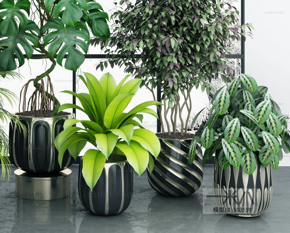 Modern Potted Green Plant