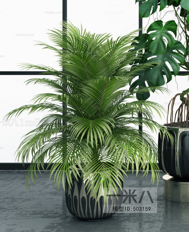 Modern Potted Green Plant