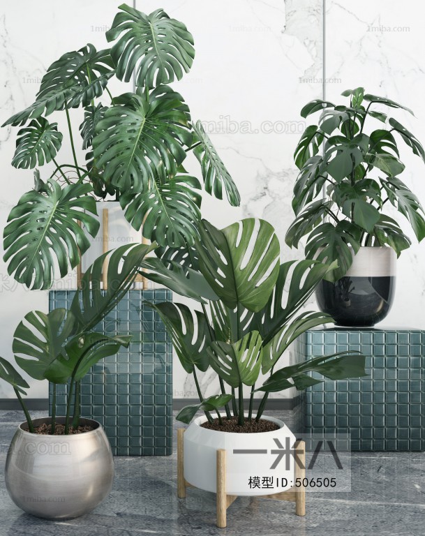 Modern Potted Green Plant