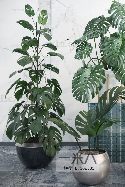 Modern Potted Green Plant